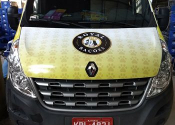 Envelopamento Automotivo