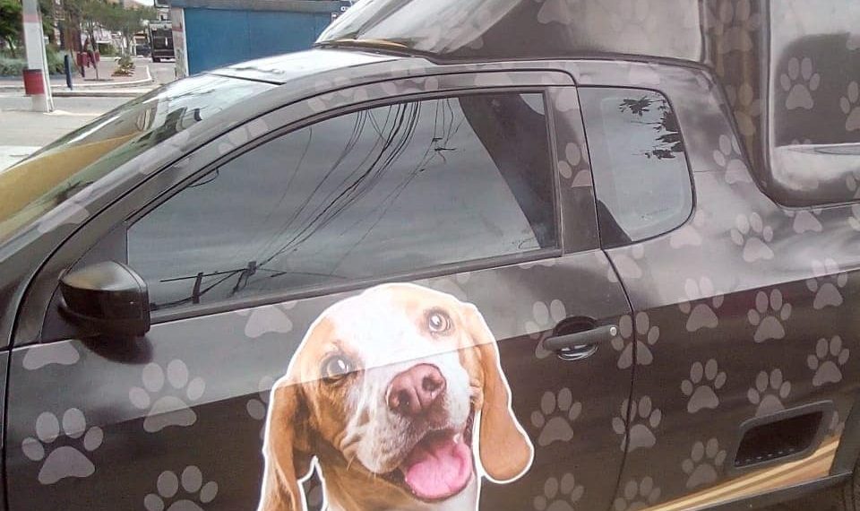 Adesivação de Saveiro